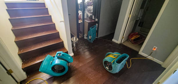 Best Ceiling water damage repair  in Chenoweth, OR