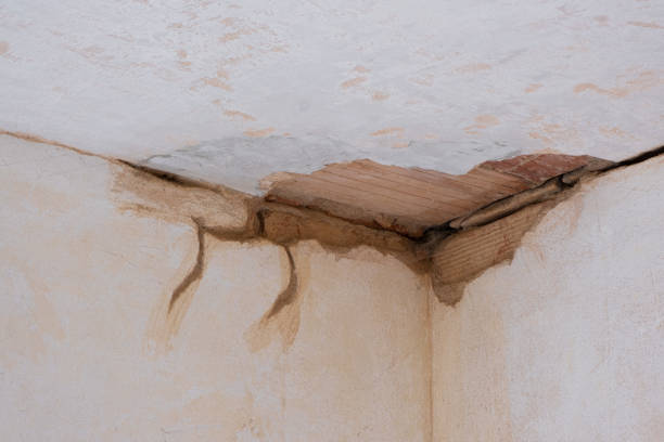 Best Local water damage restoration  in Chenoweth, OR