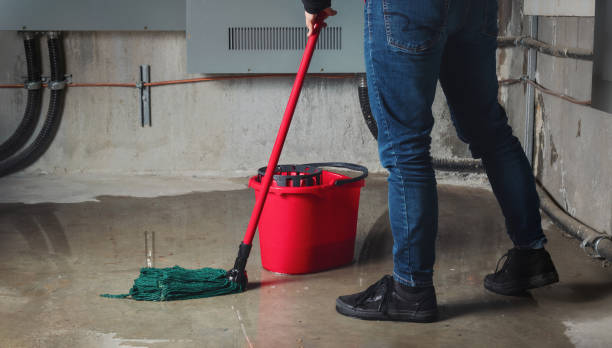 Best Professional water damage repair  in Chenoweth, OR
