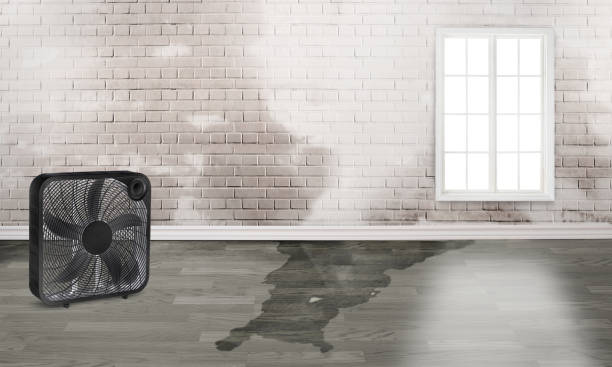 Chenoweth, OR Water damage restoration Pros