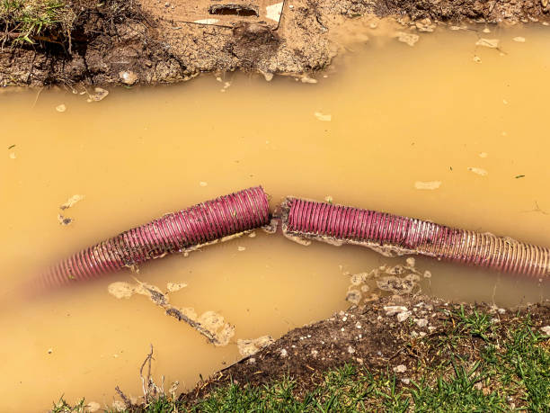 Best Professional water damage repair  in Chenoweth, OR